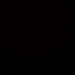 Meet your Posher, Dionna